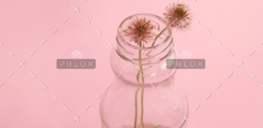 demo-attachment-796-photo-1429679310900-bad303d0e63a-1@2x